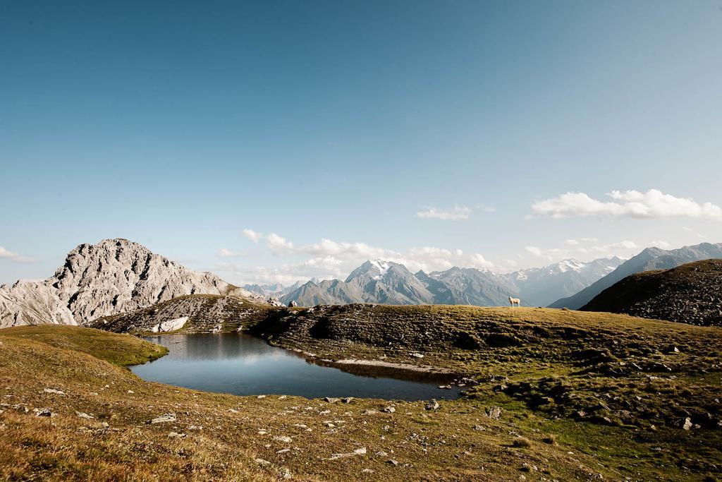 Stoanmandl Wohlfuehlappartements Neustift im Stubaital Exterior photo